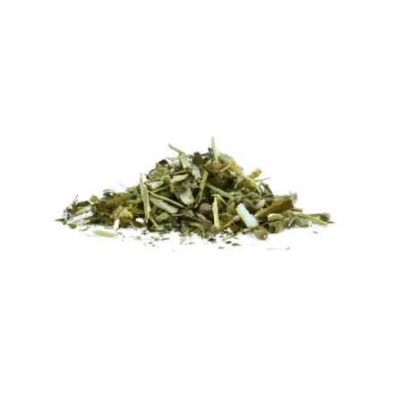 santa-kocici-bylinka73